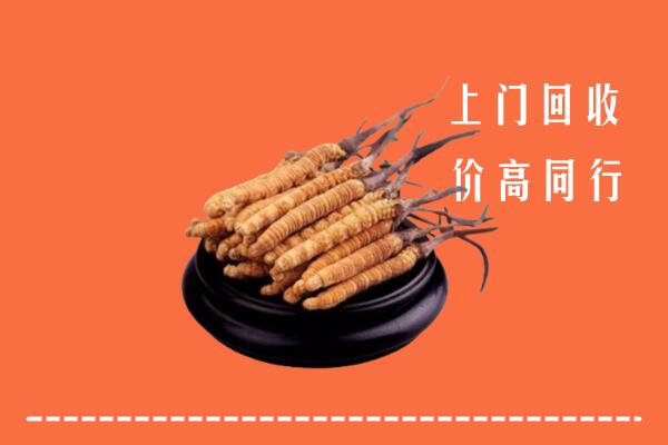 日照回收冬虫夏草